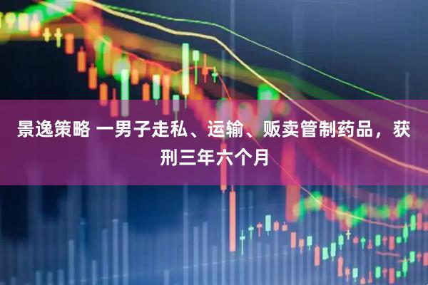 景逸策略 一男子走私、运输、贩卖管制药品，获刑三年六个月