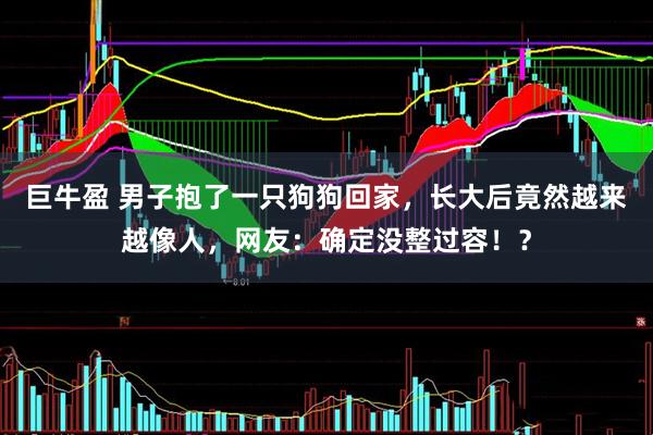 巨牛盈 男子抱了一只狗狗回家，长大后竟然越来越像人，网友：确定没整过容！？