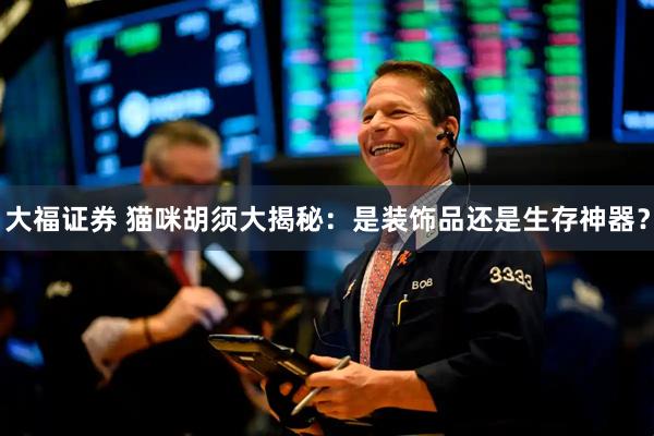 大福证券 猫咪胡须大揭秘：是装饰品还是生存神器？